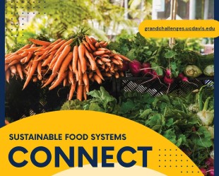 Flyer for the Grand Challenges Sustainable Food Systems Faculty Connect Event