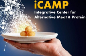 Logo for iCAMP
